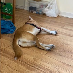 Meet your Posher, Karl